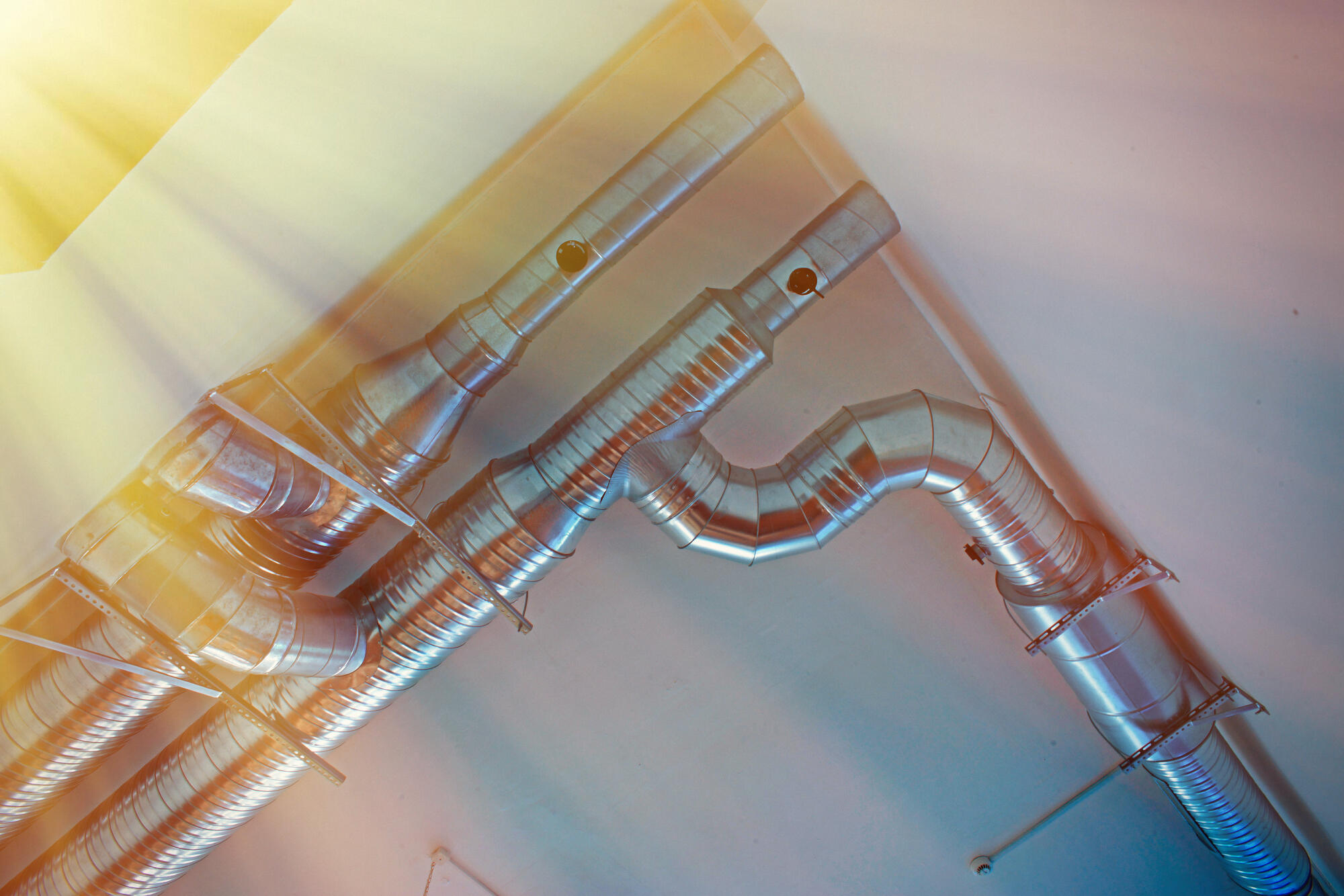 The Dangers of Ignoring Leaking Ductwork in Palmetto, GA: Mold, Pests, and More